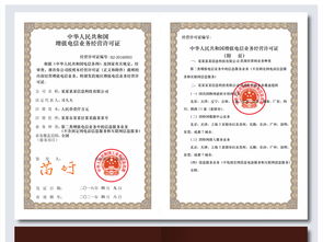 高清增值电信业务经营许可证PSD设计模板 防伪纹样助力第二类合规